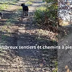 Cypres 5 Aires De Jeux, Foret, Accessibilite Pmr بيت للعطل