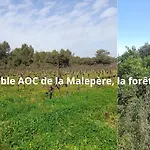 Cypres 5 Aires De Jeux, Foret, Accessibilite Pmr