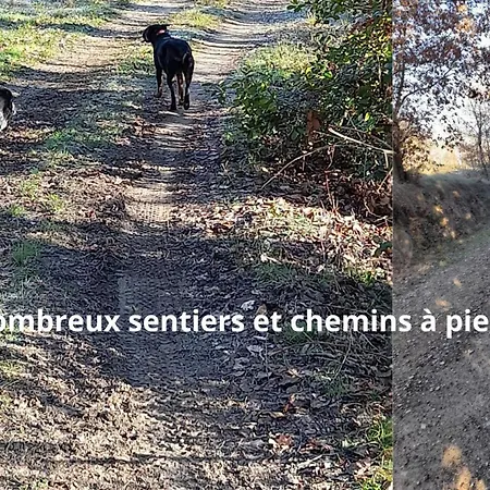Cypres 5 Aires De Jeux, Foret, Accessibilite Pmr Prázdninový dům