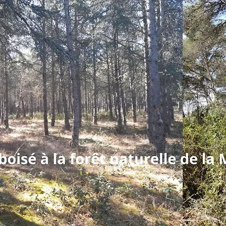Prázdninový dům Cypres 5 Aires De Jeux, Foret, Accessibilite Pmr *