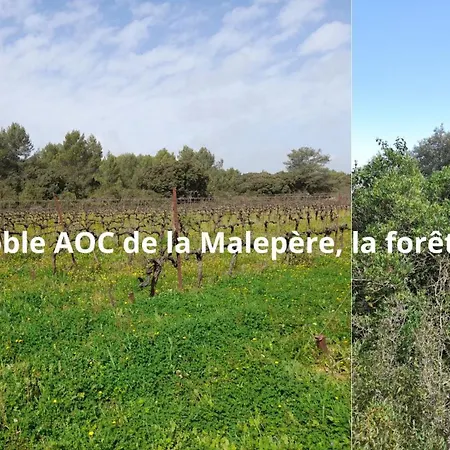 Cypres 5 Aires De Jeux, Foret, Accessibilite Pmr