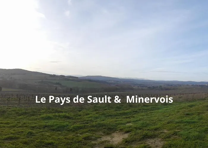 Cypres 5 Aires De Jeux, Foret, Accessibilite Pmr * Lauraguel
