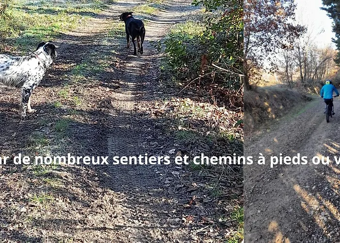 Cypres 5 Aires De Jeux, Foret, Accessibilite Pmr Ferienhaus