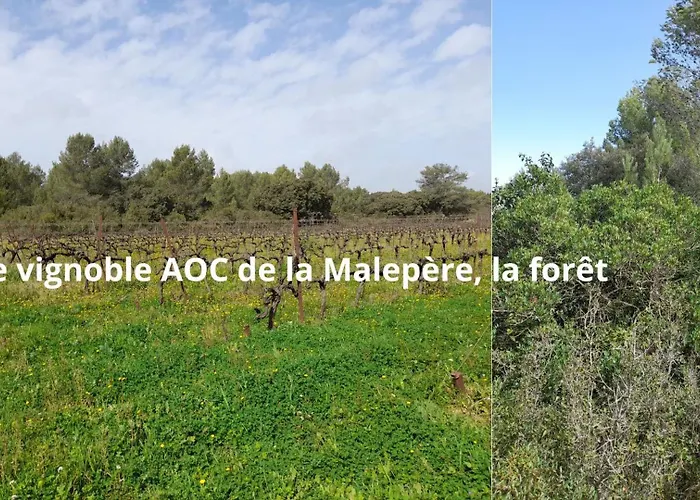 Cypres 5 Aires De Jeux, Foret, Accessibilite Pmr